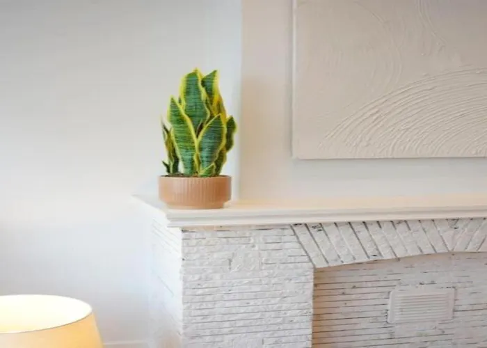 Hip & Historic Stay Antwerp